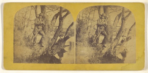 Fishing Lane; about 1860; Albumen silver print