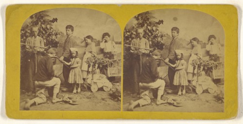 Burial of the Bird; about 1860; Albumen silver print