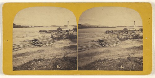 Prouty & Millers Stream Saw Mill; L.E. Thayer, American, active 1870s - 1880s, about 1870; Albumen silver print
