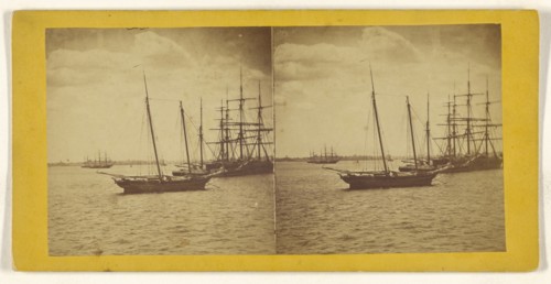 New York Harbor; American; about 1865; Albumen silver print
