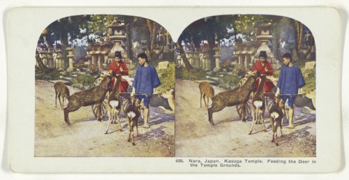 Nara, Japan. Kasuga Temple. Feeding the Deer in the Temple Grounds; about 1905; Color Photomechanical