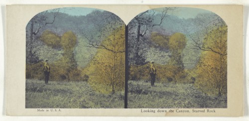 Looking down the Canyon, Starved Rock; American; about 1900; Color Photomechanical