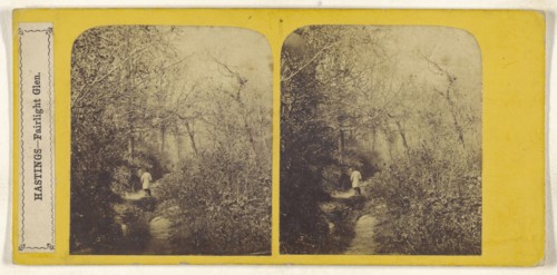 Hastings - Fairlight Glen; British; 1858; Albumen silver print