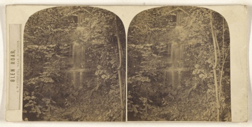 Glen Roar, A Waterfall, Near Hastings; British; about 1860; Albumen silver print