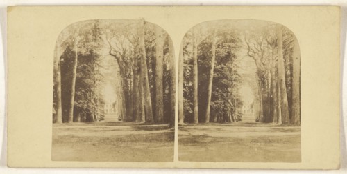 Guy's Cliff, Warwick; British; about 1860; Albumen silver print