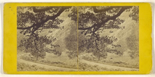 Powerscourt Waterfall, Co. Wicklow; British; about 1860; Albumen silver print
