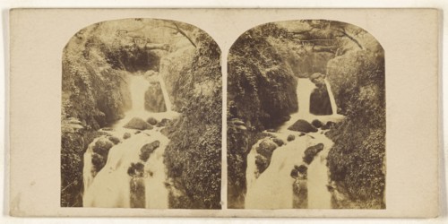 Combe Wood; British; about 1865; Albumen silver print