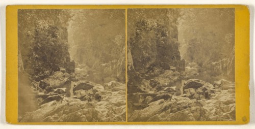Fors Noddin, Fairy Glen, Bettws-y-coed; British; about 1865; Albumen silver print