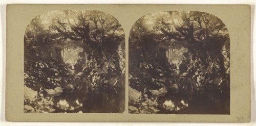 Bridge on the Machno, North Wales; British; about 1865; Albumen silver print