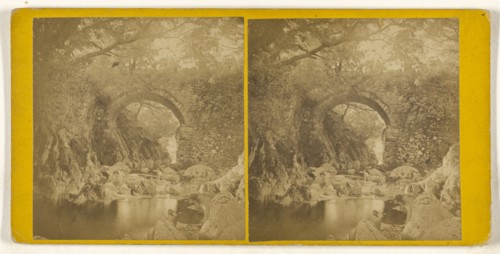 North Wales. Point-y-Gelli, from above Capel Curig; British; about 1865; Albumen silver print