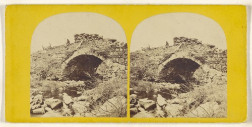 Pont-y-Colwyn Beddgelert, N. Wales; British; about 1865; Albumen silver print