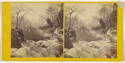 On the Stock Ghyll Stream. Ambleside; British; about 1865; Albumen silver print