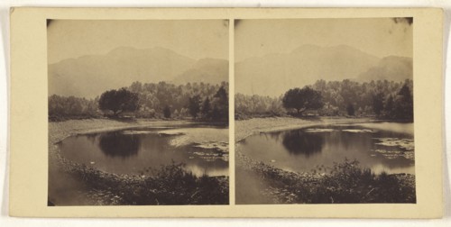 A Bay on Loch Katrine; British; about 1865; Albumen silver print