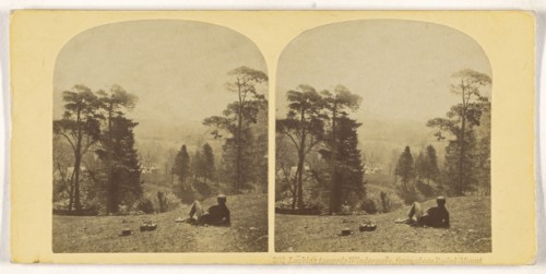 Looking towards Windermere from above Rydal Mount; British; about 1865; Albumen silver print