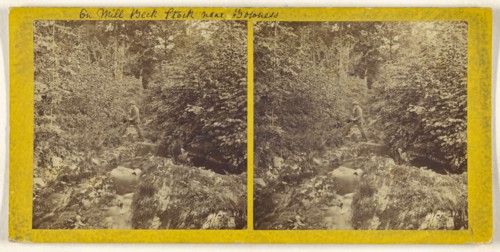On Mill Beck Stock near Bowness; British; about 1865; Albumen silver print
