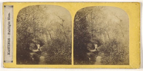 Hastings, Fairlight Glen; British; about 1860; Albumen silver print