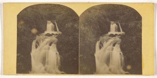Higher Waterfall, Combe Wood, Bladeford; British; about 1860; Albumen silver print