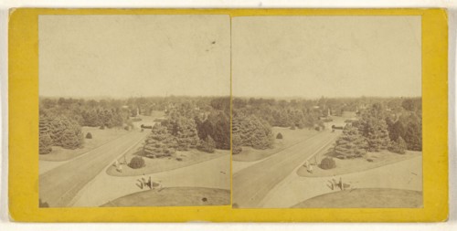 View in British park or estate; British; about 1865; Albumen silver print