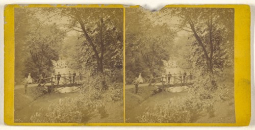 Group of people standing on footbridge over river; British; about 1865; Albumen silver print