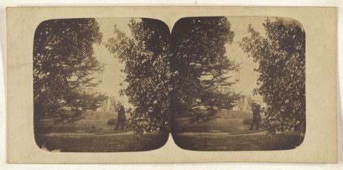 R. Charlestons; British; about 1860; Albumen silver print
