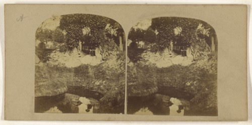 Woman seated on ground overlooking a brook, her reflection seen in the brook; British; about 1860; Albumen silver print