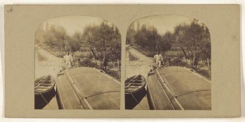 River Gipping; British; about 1860; Albumen silver print
