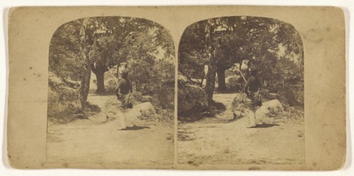Foret de Fontainebleau, Le Chasseur; French; about 1865; Albumen silver print