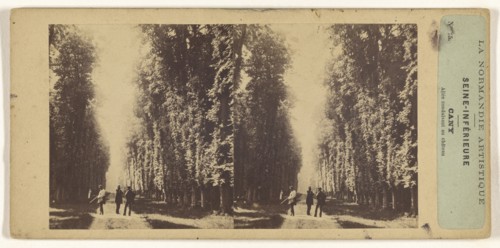 La Normandie Artistique. Seine-Inferieure. Cany. Allee conduisant au chateau; French; about 1860; Albumen silver print