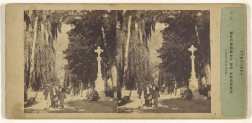Pyrenees. Bagneres de Luchon. Avenue de la Pique; French; about 1860; Albumen silver print