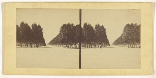 prada 2me ligne; Spanish; about 1870; Albumen silver print