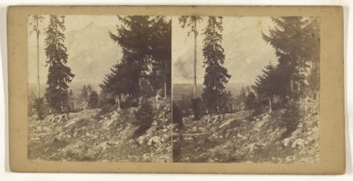 Vue prise a Seitorf pres Altorf. Canton d'Uri Suisse, Switzerland; about 1865; Albumen silver print