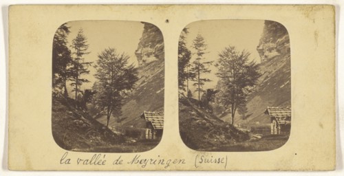 Paysage dans la Gorge obscure pres Meiringen, Suisse, Switzerland, about 1865; Albumen silver print