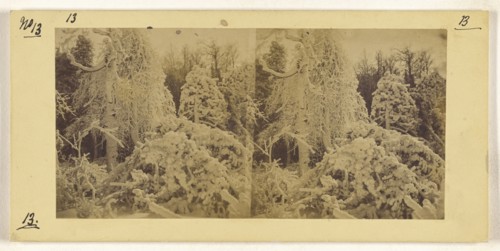 Luna Island Scenery; Canadian; about 1863; Albumen silver print