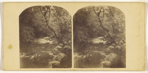 River Yealm Buck of, British; about 1870; Albumen silver print