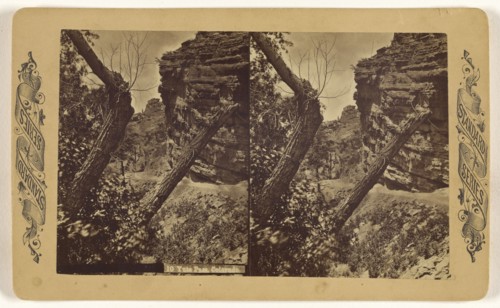 Yute Pass, Colorado; American; about 1871; Albumen silver print