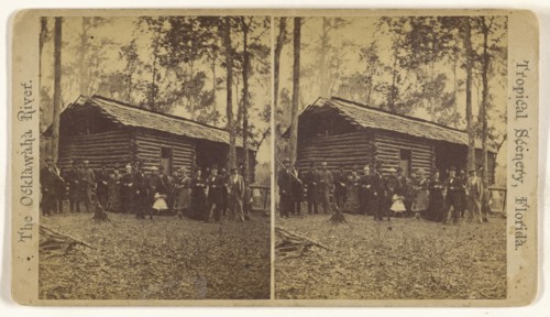 Double Pen, Log House Florida; American; about 1870; Albumen silver print