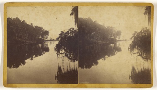 View on St. John's River, Florida, ?, American; about 1870; Albumen silver print