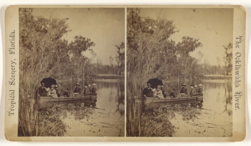 On Silver Springs River. Florida; American; about 1870; Albumen silver print