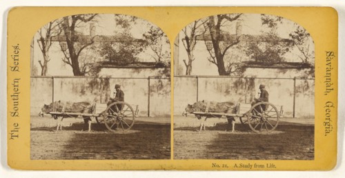 A Study from Life. Savannah, Georgia; American; about 1875; Albumen silver print