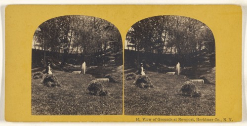 View of Grounds at Newport, Herkimer Co., N.Y; American; about 1870; Albumen silver print