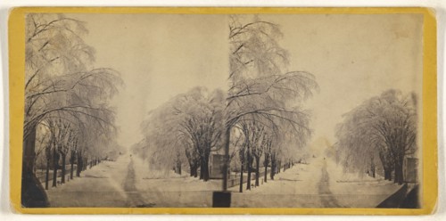 Elm Street, Winter, Potsdam, N.Y; American; about 1865; Albumen silver print
