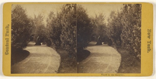 View in the Ramble. Central Park, New York; American; about 1865; Albumen silver print