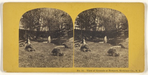 View of Grounds at Newport, Herkimer Co., N.Y; American; about 1865; Albumen silver print