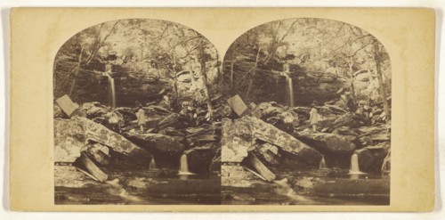 Mountain Gorge, On the Catskills; about 1860; Albumen silver print