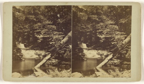 Blackwater, West Va; American; about 1870; Albumen silver print