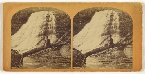 Pulpit Falls, Cayuga, N.Y; American; about 1860; Albumen silver print