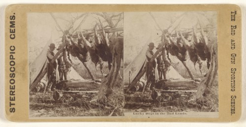 Lucky Dogs in the Bad Lands; American; about 1865; Albumen silver print