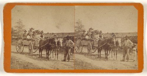 French Wedding Party, possibly at New Brunswick, Canada; George T. Taylor, Canadian, active 1870s, about 1870; Albumen silver