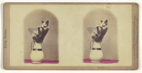 Kitty Series. Hoosac; John P. Soule, American, 1827 - 1904, 1871; Hand-colored Albumen silver print