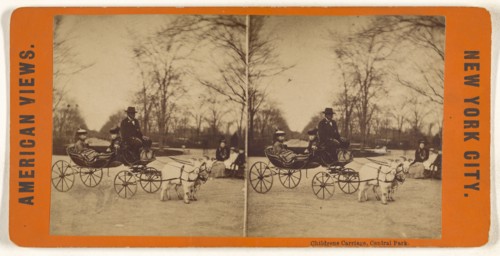 Childrens Carriage, Central Park; American; about 1865; Albumen silver print